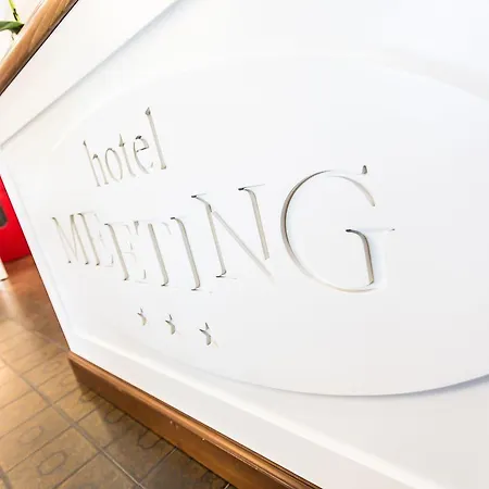 Otel Meeting 3*